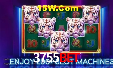 Experiência VIP 3755Bet